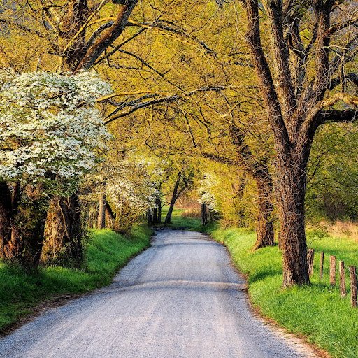 Весне дорогу!