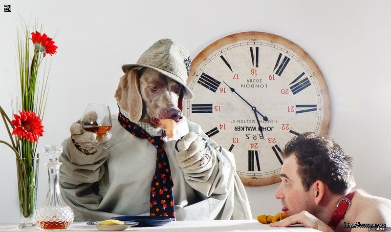 День наоборот картинки