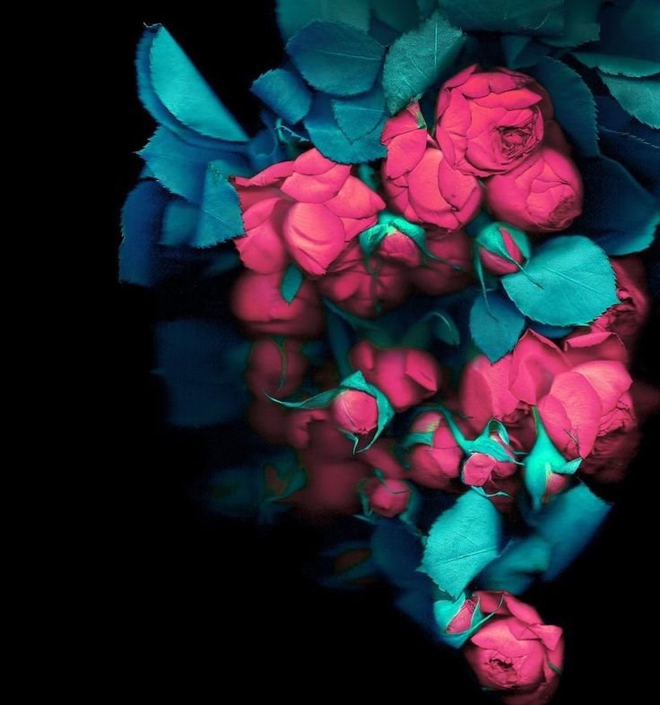 Бирюзовый и розовый