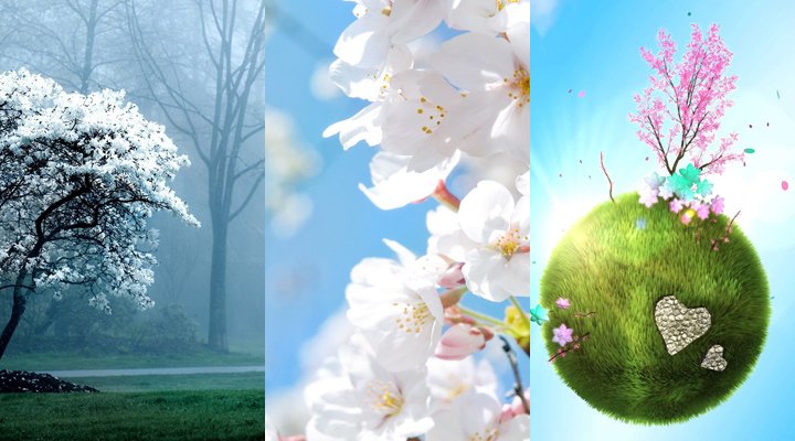 Заставка на самсунг Весна