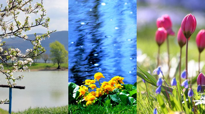 Обои для телефона самсунг Весна