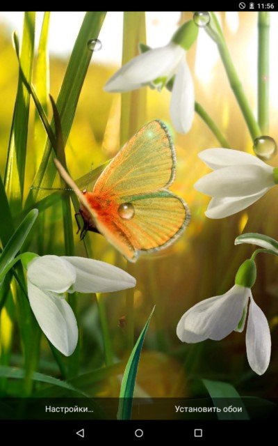 Обои для самсунг галакси Весна