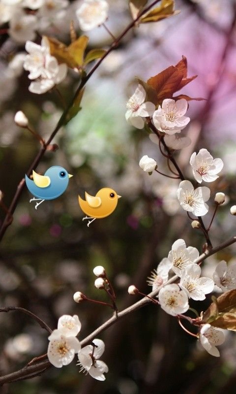 Весенняя природа