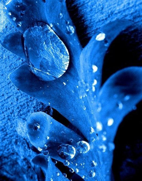 Синие картинки