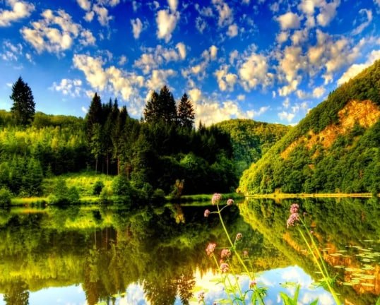 Красивая природа лето озеро