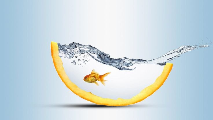 Креативные заставки