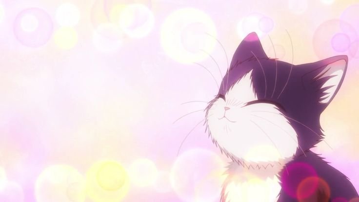 Аниме кошечка