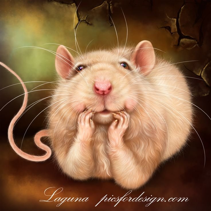 Забавные крысы