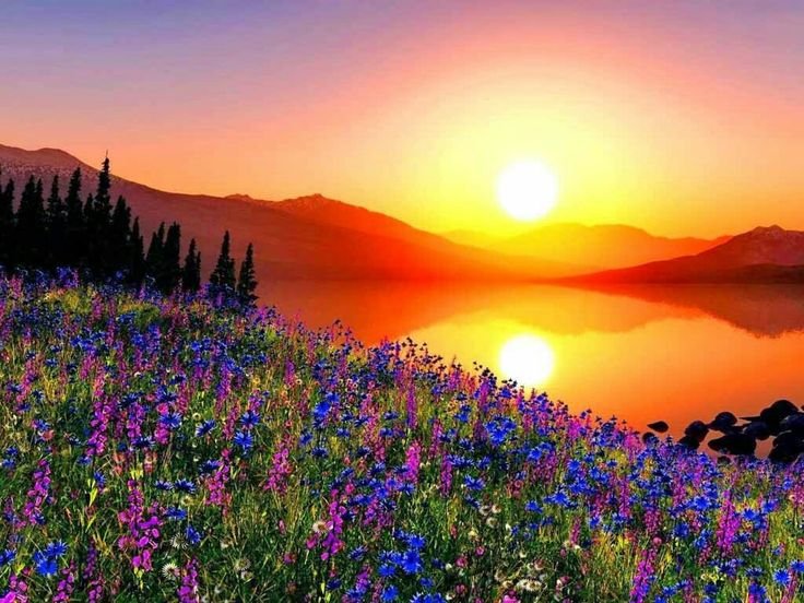 Красивый рассвет