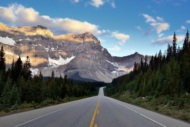 Канада лес дорога горы