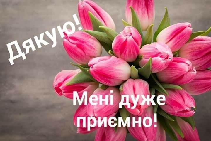 Тюльпан Розали