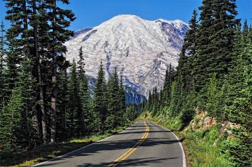 Канада лес дорога горы