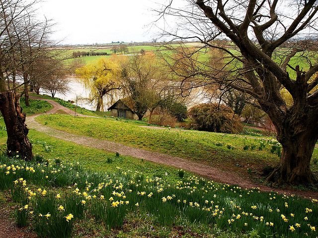 Весна пейзаж