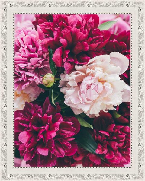 Пион ОДИЛИЯ