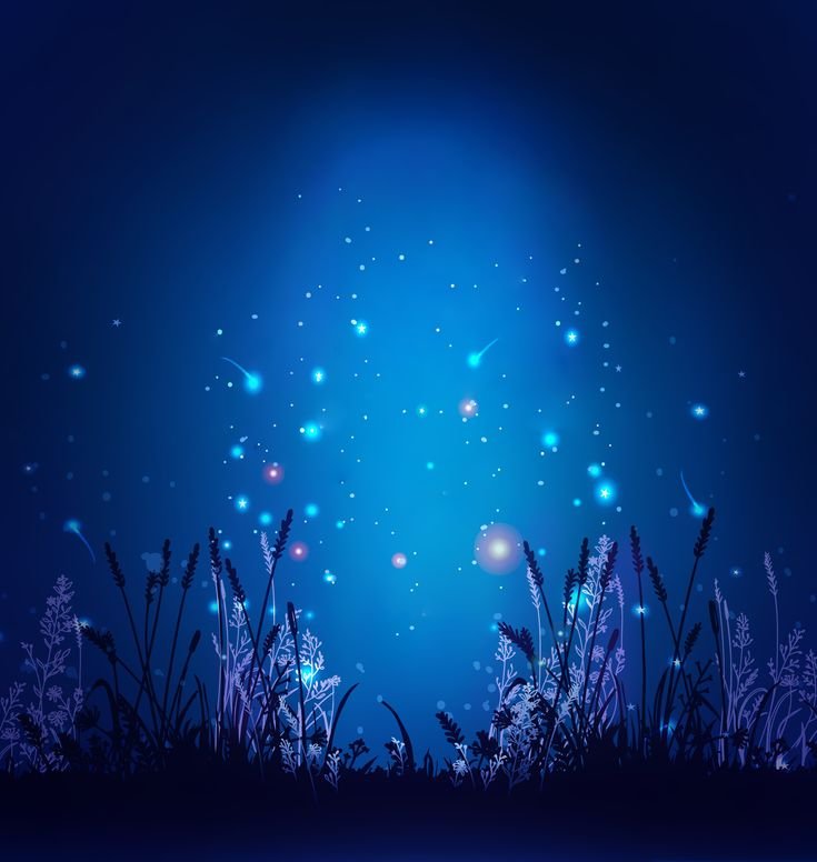 Заставка хонора