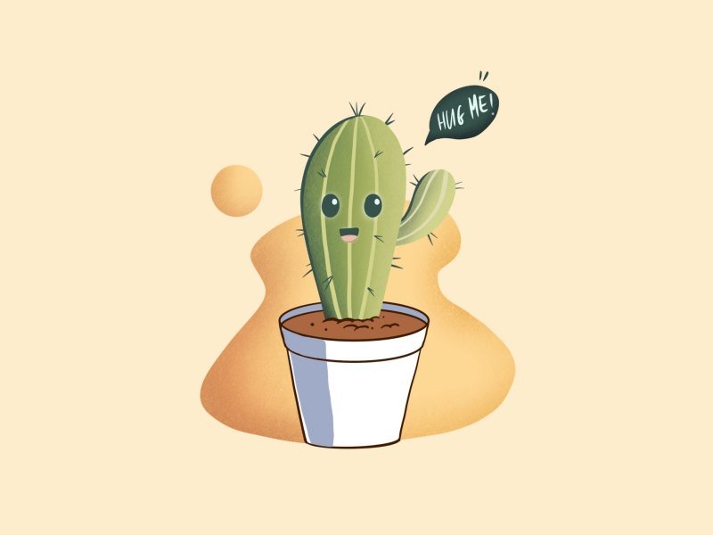 Кактус Минимализм