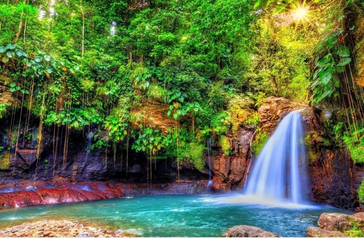 Тропики лес водопад