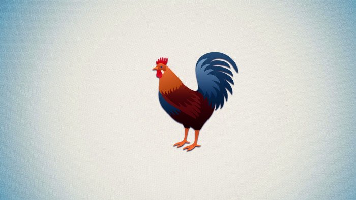 Красивый петух