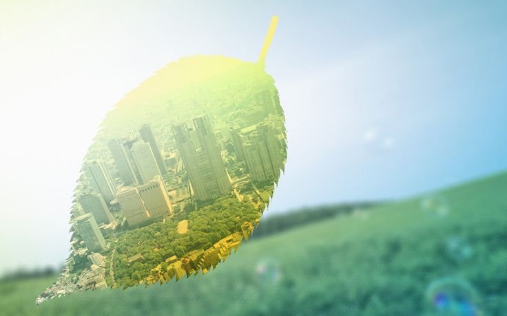 Экология фон