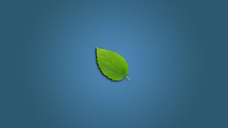 Зеленые листочки