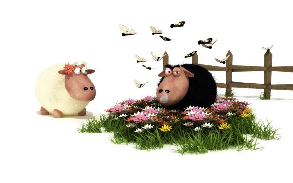 Обои на рабочий стол овцы