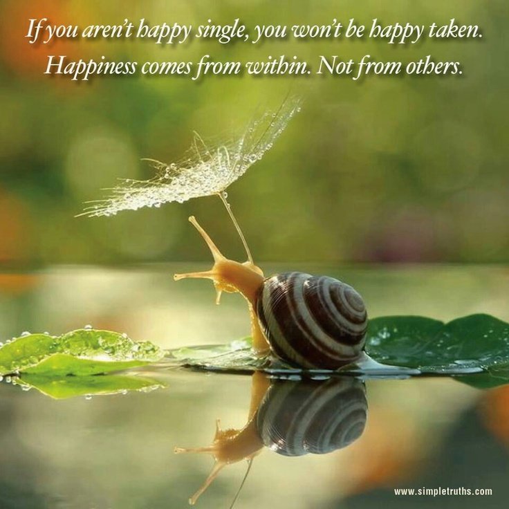 Водяные улитки