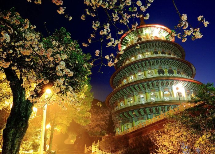 Деревья в городе