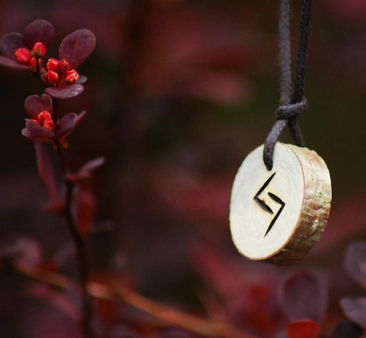 Феху Наутиз