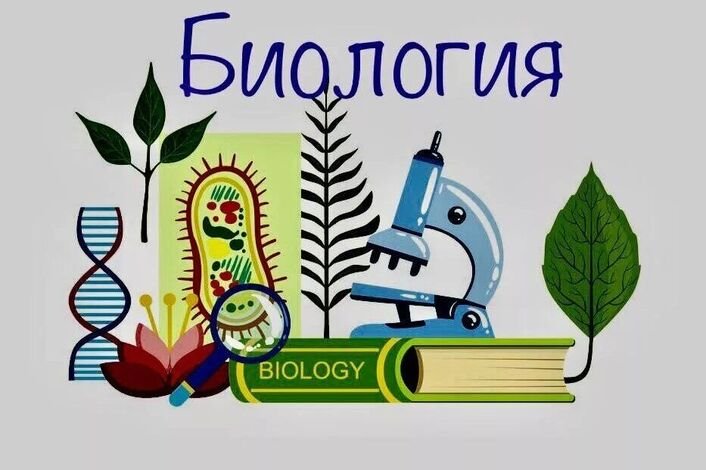 Урок биологии надпись