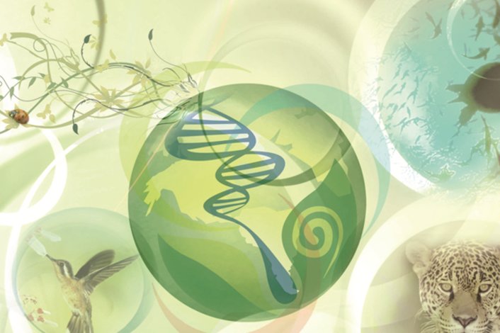 Биологические рисунки