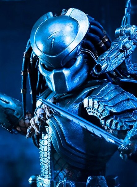 Хищник картинки