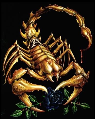 Знак зодиака Скорпион