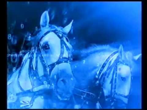 Заставка Вестей с лошадьми