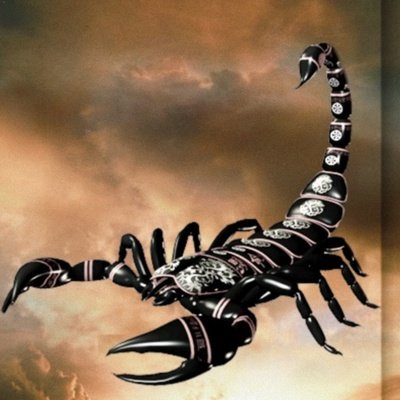 Скорпион картинки