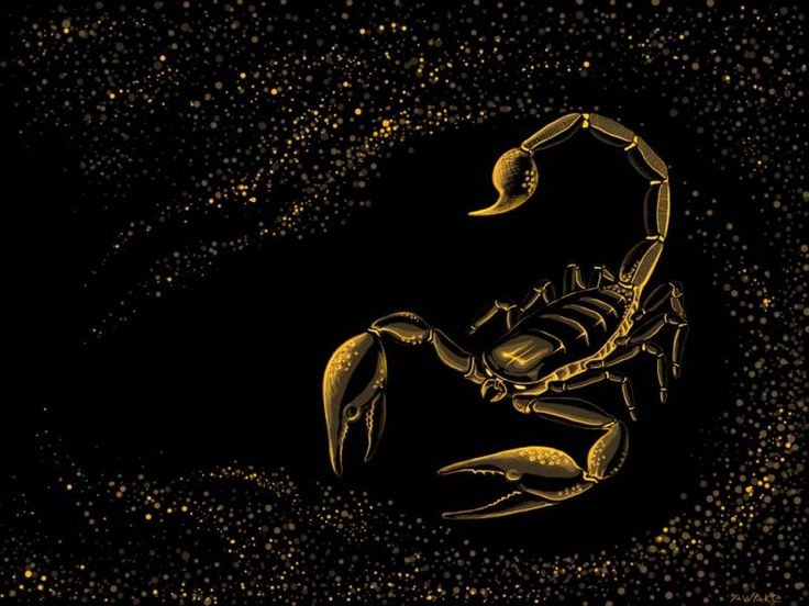 Знак зодиака Скорпион