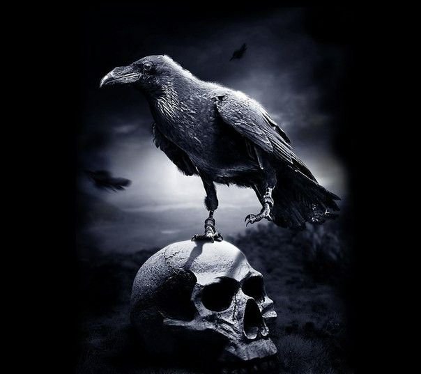 Ворон арт