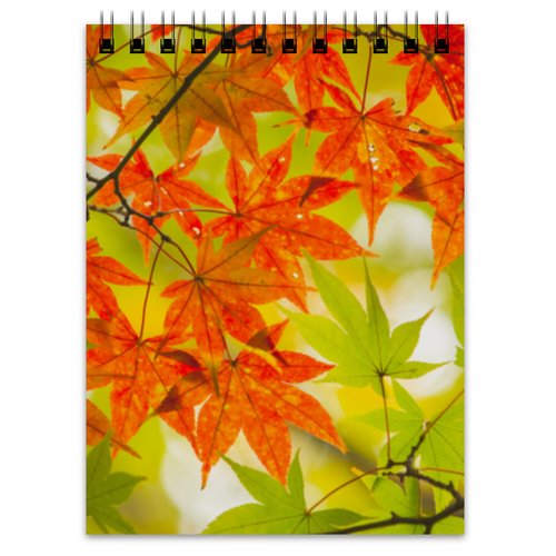 Осенний фон на рабочий стол