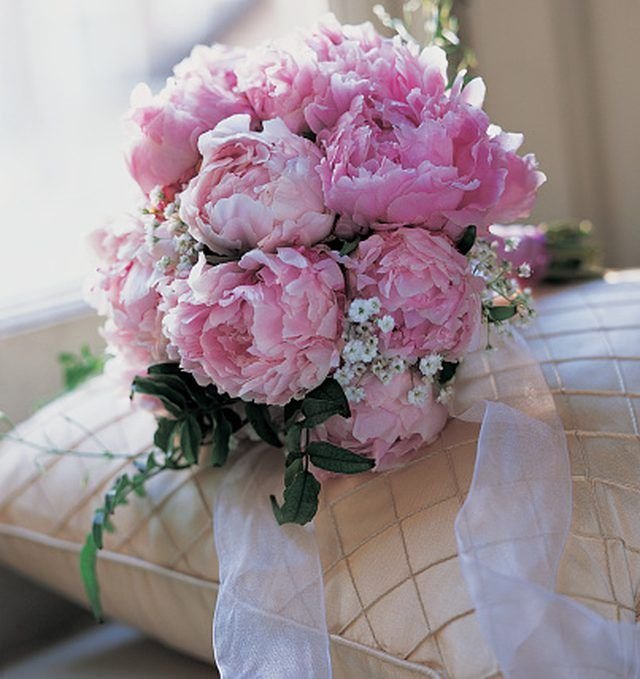 Цветок "пион"