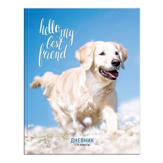 Золотистый ретривер белый