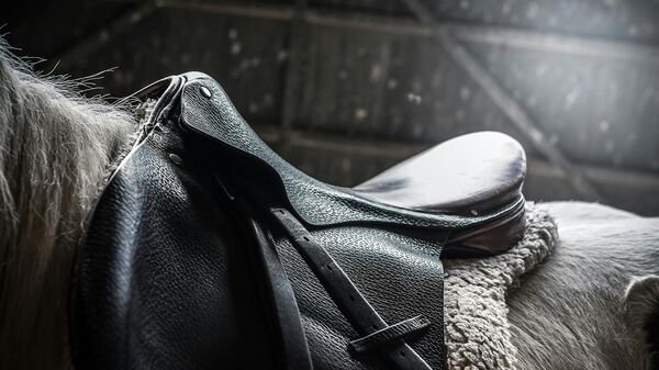 вести с лошадьми