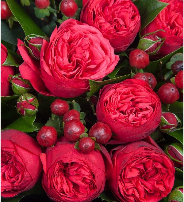 Букет красных пионов