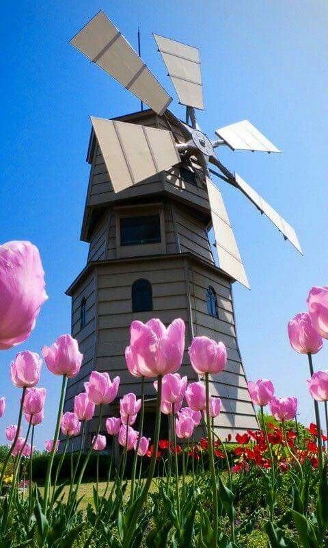 Красивая ветряная мельница