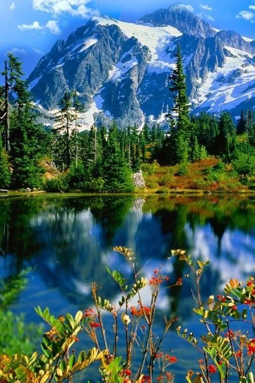 Табиат манзараси