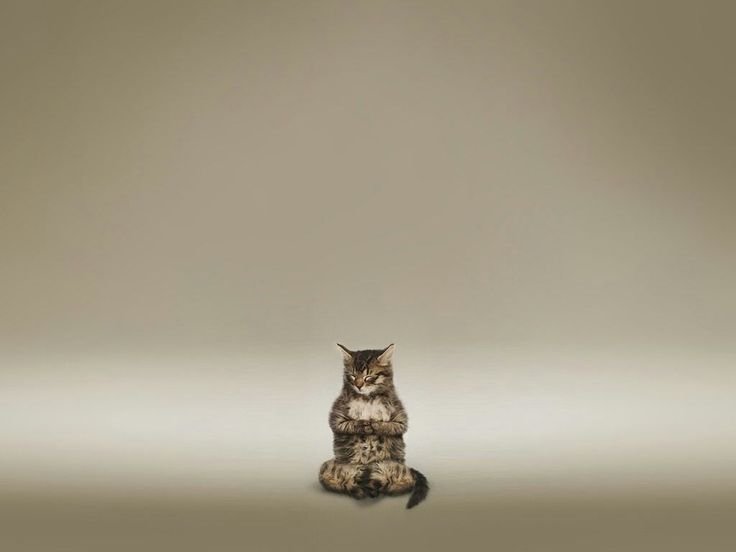 Спокойный фон для рабочего стола