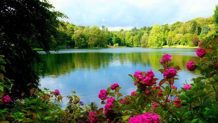 Красивый пруд