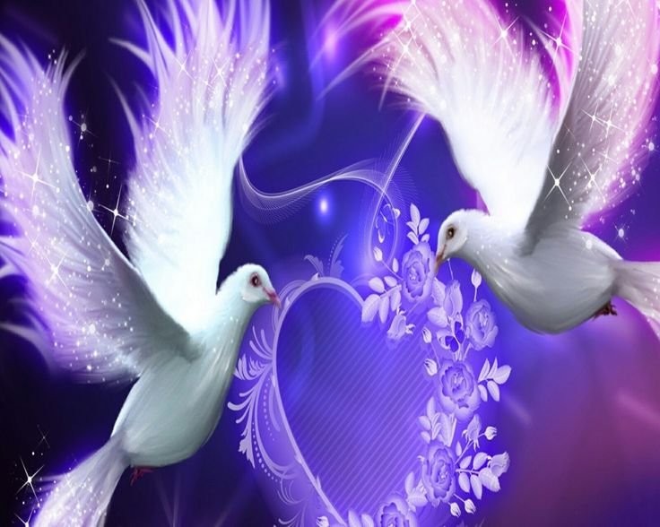 Пара голубей картинки