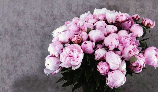 Мраморный пион