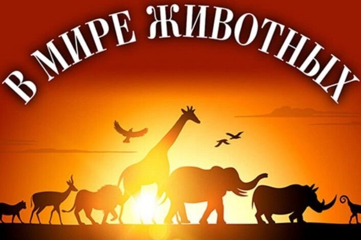 Надпись животный мир