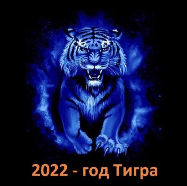 Синий тигр на черном фоне