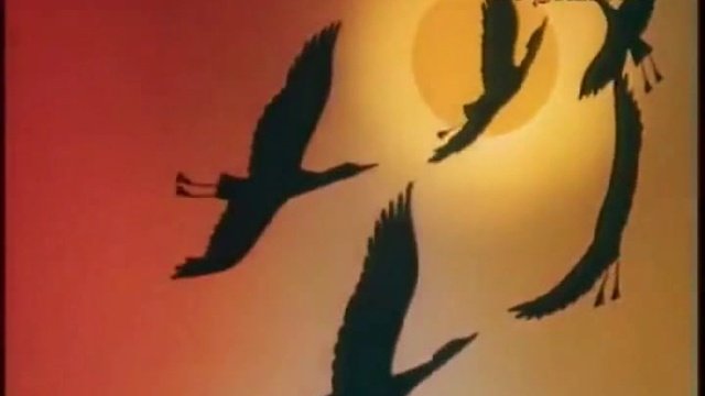 В мире животных СССР